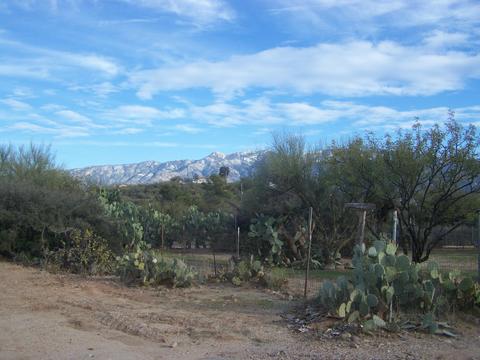 3440 Edwin Rd, Tucson, AZ 85739 photo 6