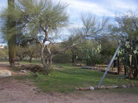 3440 Edwin Rd, Tucson, AZ 85739 photo 23
