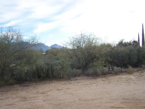 3440 Edwin Rd, Tucson, AZ 85739 photo 15