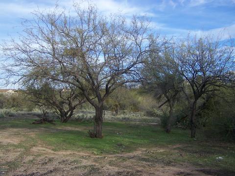 3440 Edwin Rd, Tucson, AZ 85739 photo 3
