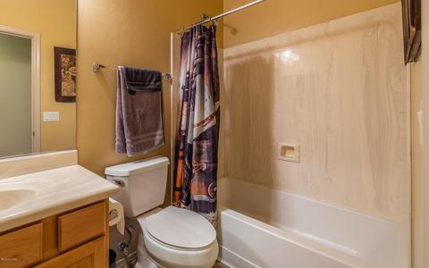 10482 E Sara Scarlet Loop, Tucson, AZ 85747 photo 21