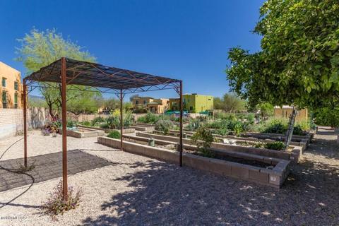 10482 E Sara Scarlet Loop, Tucson, AZ 85747 photo 39