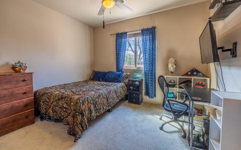 10482 E Sara Scarlet Loop, Tucson, AZ 85747 photo 16