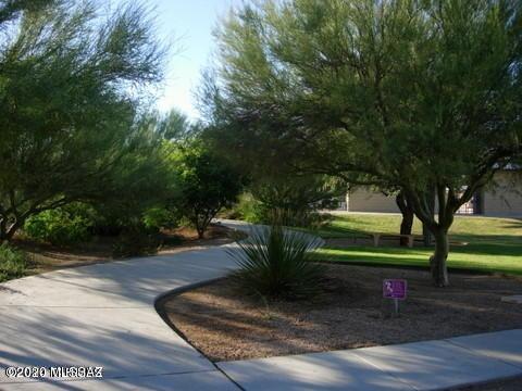 10482 E Sara Scarlet Loop, Tucson, AZ 85747 photo 37