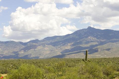 14955 E Triangle Z Ranch Pl, Vail, AZ 85641 photo 2