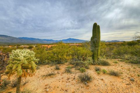13817 E Langtry Ln, Tucson, AZ 85747 photo 40