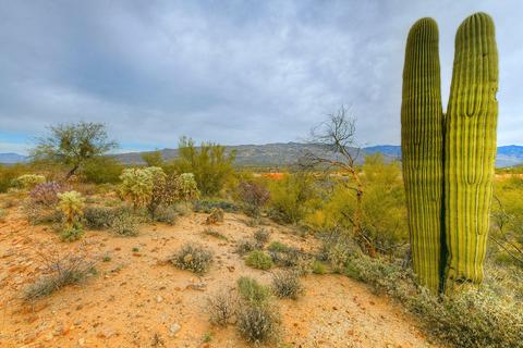 13817 E Langtry Ln, Tucson, AZ 85747 photo 37