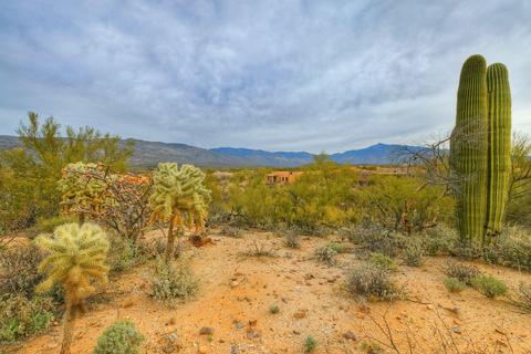13817 E Langtry Ln, Tucson, AZ 85747 photo 36