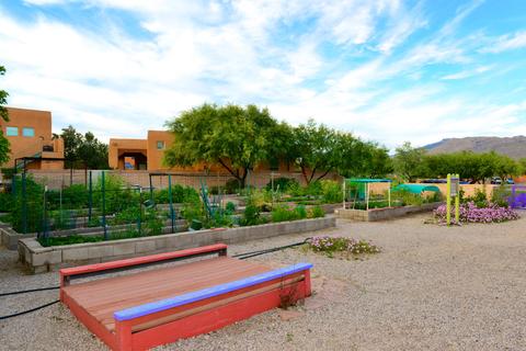 5209 S Civano Blvd, Tucson, AZ 85747 photo 29