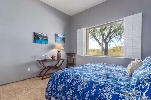 14465 E Desert Plume Ct, Vail, AZ 85641 photo 19