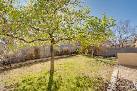 10444 E Vashon St, Tucson, AZ 85747 photo 32