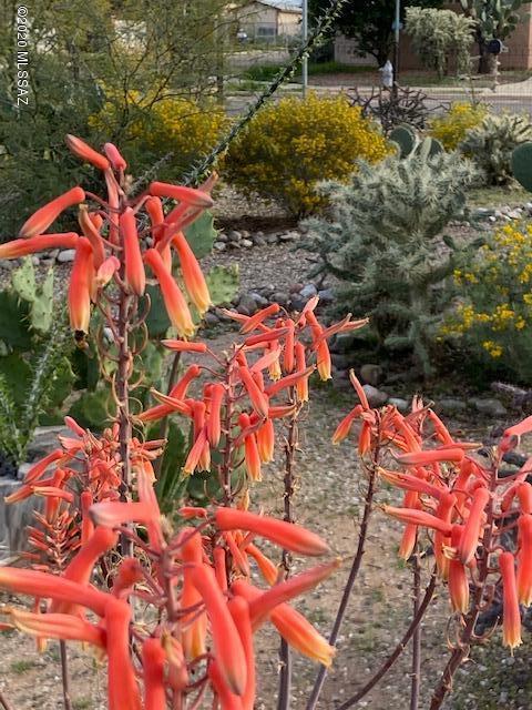 455 E Blacklidge Dr, Tucson, AZ 85705 photo 21