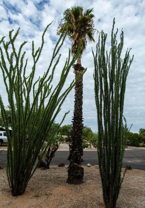 7022 E Baker St, Tucson, AZ 85710 photo 36