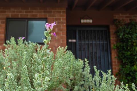 7022 E Baker St, Tucson, AZ 85710 photo 35
