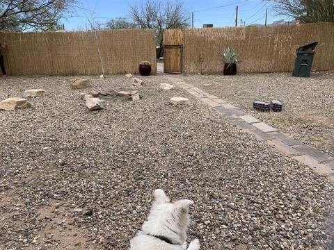 1041 E Grant Rd, Tucson, AZ 85719 photo 43