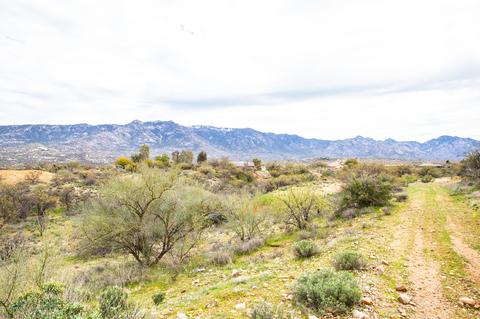 4800 Edwin Rd, Tucson, AZ 85739 photo 3