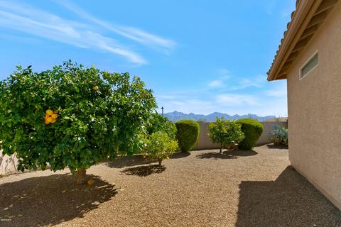 62063 E Desert View Pl, Tucson, AZ 85739 photo 30