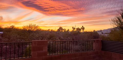 9449 E Lilly Bay Loop, Tucson, AZ 85710 photo 21