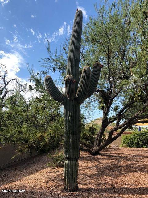 8151 E Coronado Rd, Tucson, AZ 85750 photo 13