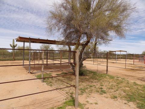 30286 E Slater Ln, Marana, AZ 85658 photo 24