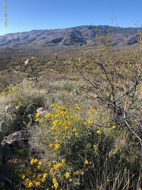 18760 E Cactus Hill Rd, Vail, AZ 85641 photo 3