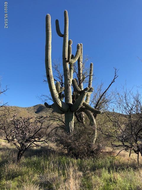 18760 E Cactus Hill Rd, Vail, AZ 85641 photo 14
