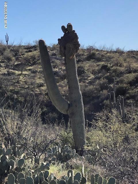 18760 E Cactus Hill Rd, Vail, AZ 85641 photo 6