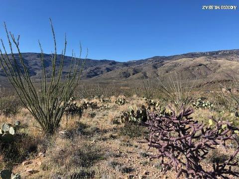 18760 E Cactus Hill Rd, Vail, AZ 85641 photo 2