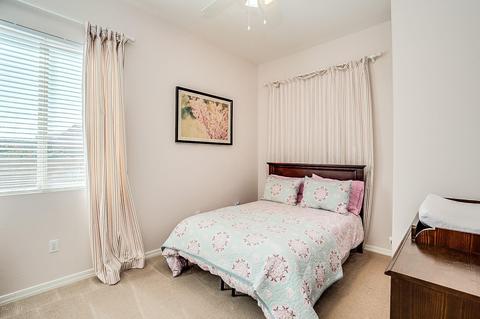 14128 E Anacapa Dr, Vail, AZ 85641 photo 31
