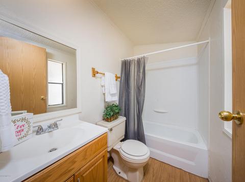 9375 S Rincon Mesa Dr, Vail, AZ 85641 photo 12