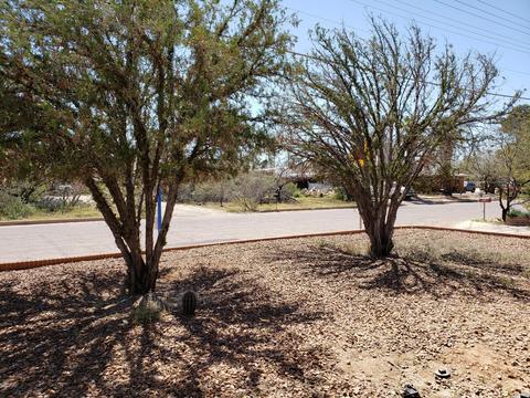 2223 E Hedrick Dr, Tucson, AZ 85719 photo 3