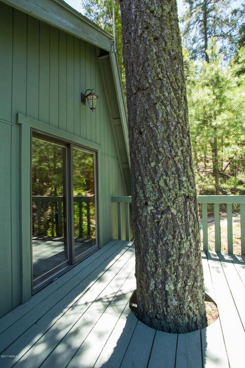 11075 E Grosbeak Ln, Mount Lemmon, AZ 85619 photo 33