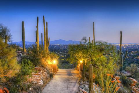 11701 E Balboa Pl, Tucson, AZ 85749 photo 3