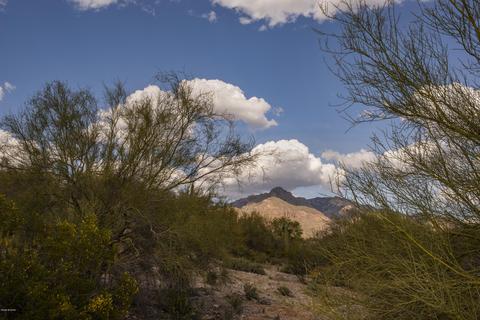525 E Deone Cir, Tucson, AZ 85704 photo 49