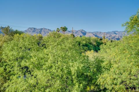6923 E Cloud Rd, Tucson, AZ 85750 photo 25