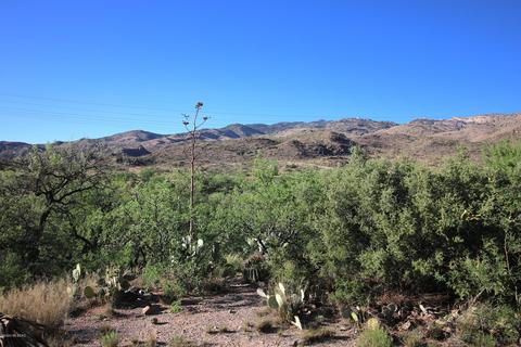 21101 E Marsh Station Rd, Vail, AZ 85641 photo 27