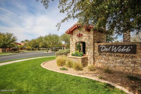 10272 S Binder Dr, Vail, AZ 85641 photo 45