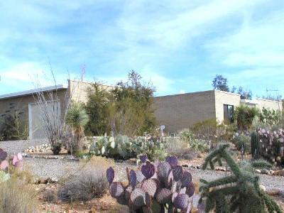 15960 W Pinacate Ave, Tucson, AZ 85736 photo 3
