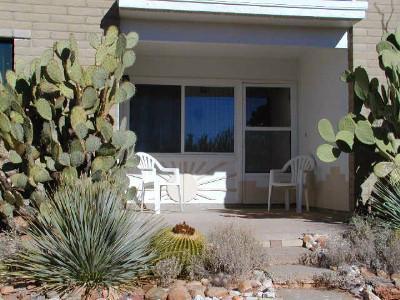 15960 W Pinacate Ave, Tucson, AZ 85736 photo 4
