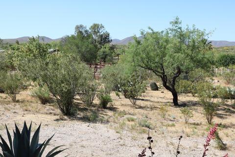 49705 Eaglenest Trl, Saddlebrooke, AZ 85739 photo 26