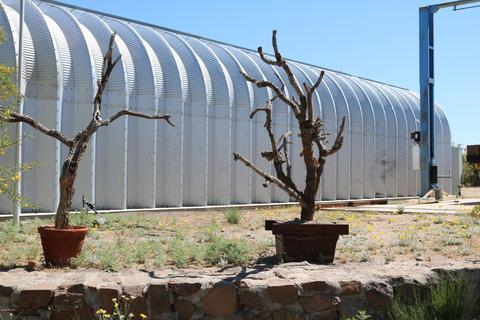 49705 Eaglenest Trl, Saddlebrooke, AZ 85739 photo 36