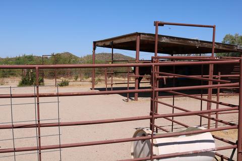 49705 Eaglenest Trl, Saddlebrooke, AZ 85739 photo 29