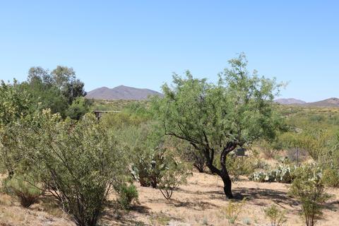 49705 Eaglenest Trl, Saddlebrooke, AZ 85739 photo 8