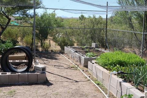49705 Eaglenest Trl, Saddlebrooke, AZ 85739 photo 23