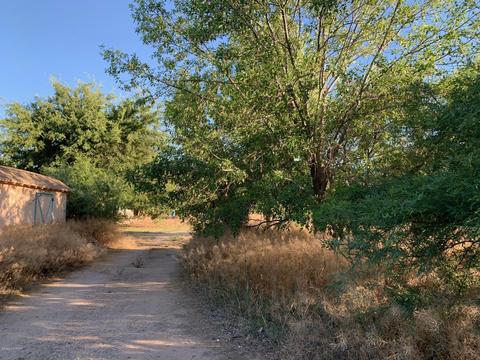 463 E Knauss St, Saint David, AZ 85630 photo 24