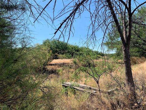 463 E Knauss St, Saint David, AZ 85630 photo 40