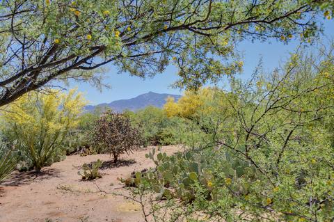 8613 S Triangle O Ranch Pl, Vail, AZ 85641 photo 45