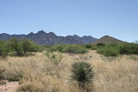 141 Diamondback Rd, Saint David, AZ 85630 photo 8