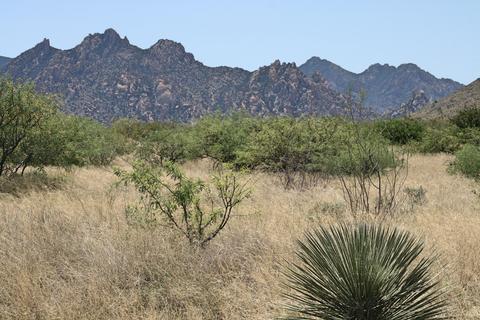 141 Diamondback Rd, Saint David, AZ 85630 photo 11