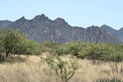 141 Diamondback Rd, Saint David, AZ 85630 photo 6